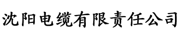 理论电影在线电缆厂logo